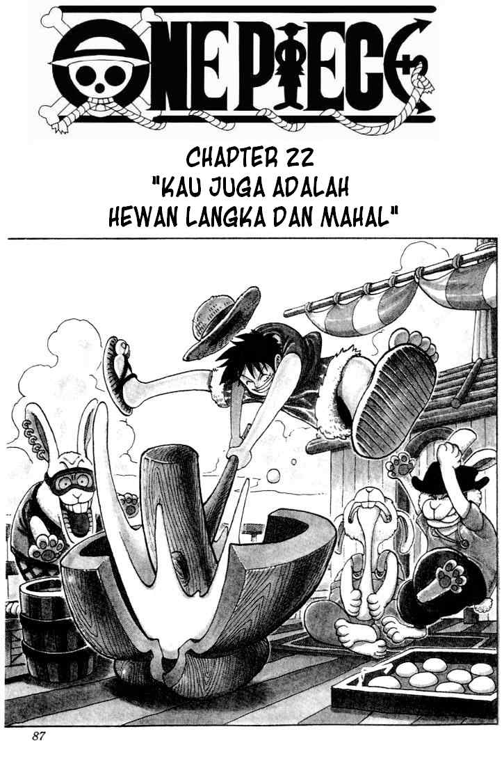 One Piece Chapter 22