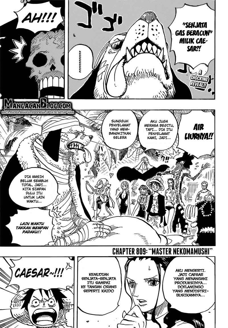 One Piece Chapter 809