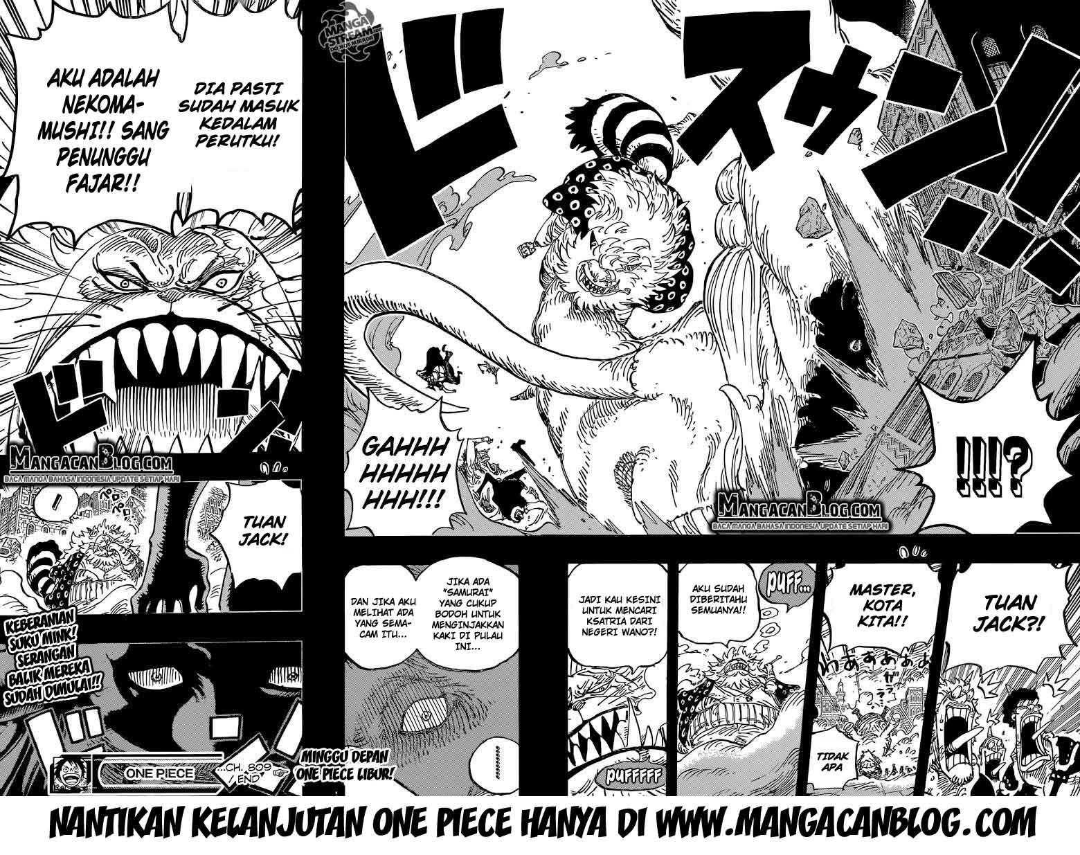 One Piece Chapter 809