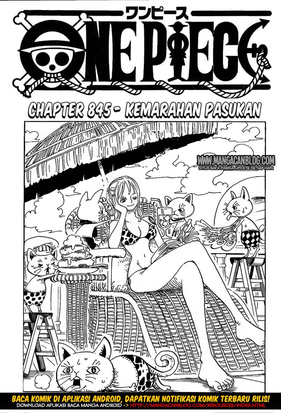 One Piece Chapter 845