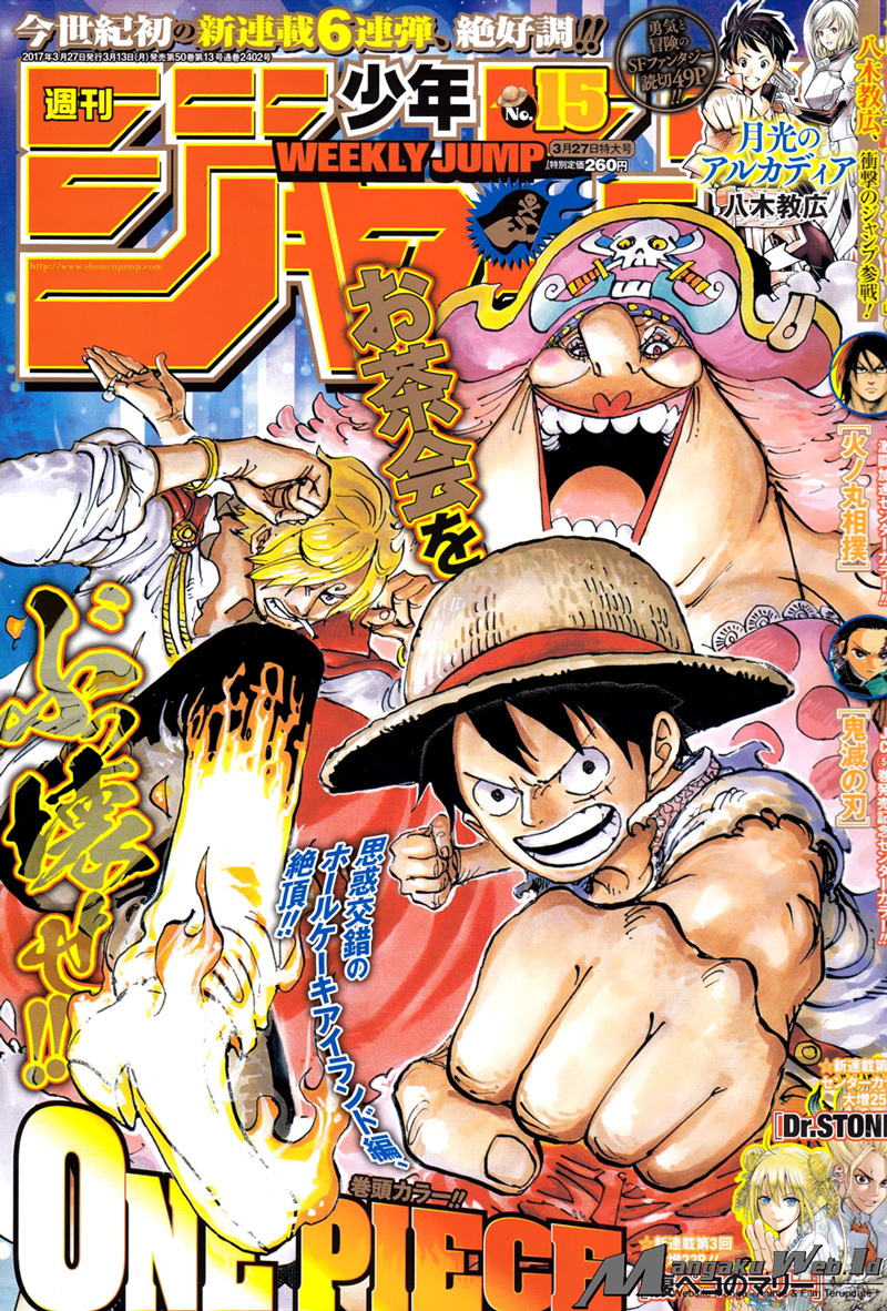 One Piece Chapter 858