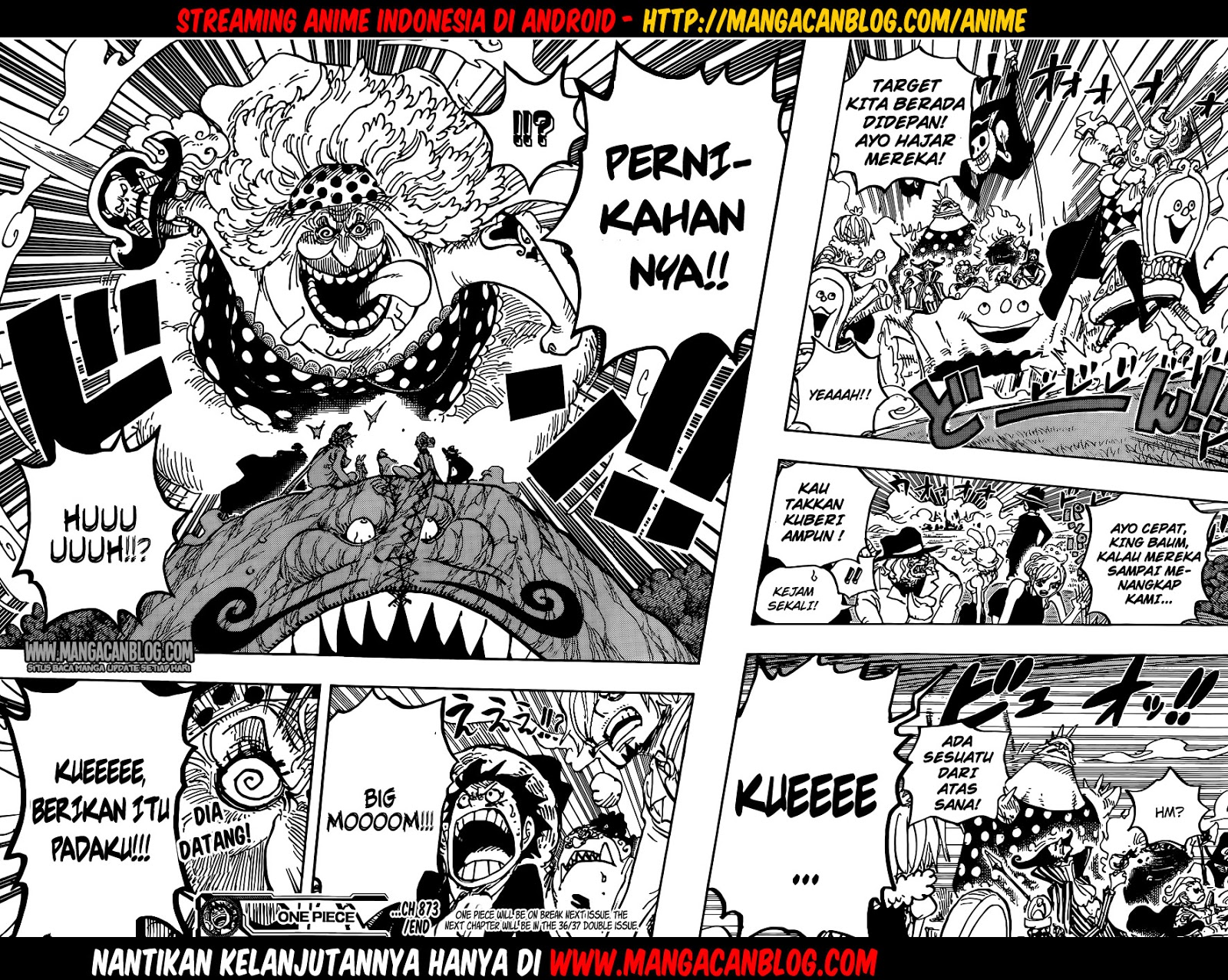 One Piece Chapter 873