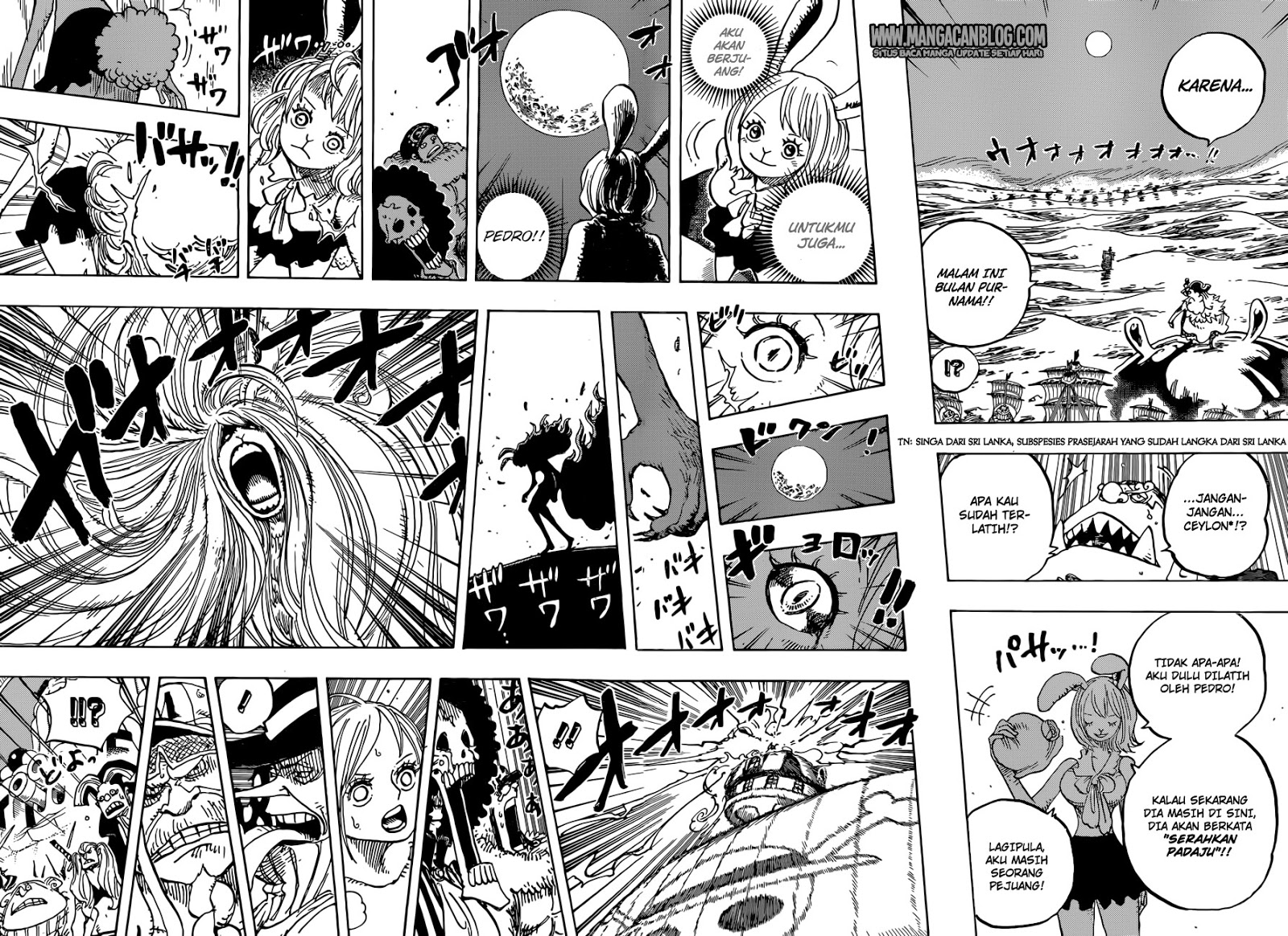 One Piece Chapter 888