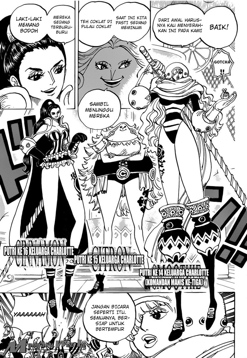 One Piece Chapter 892