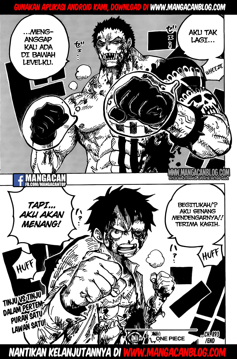 One Piece Chapter 893