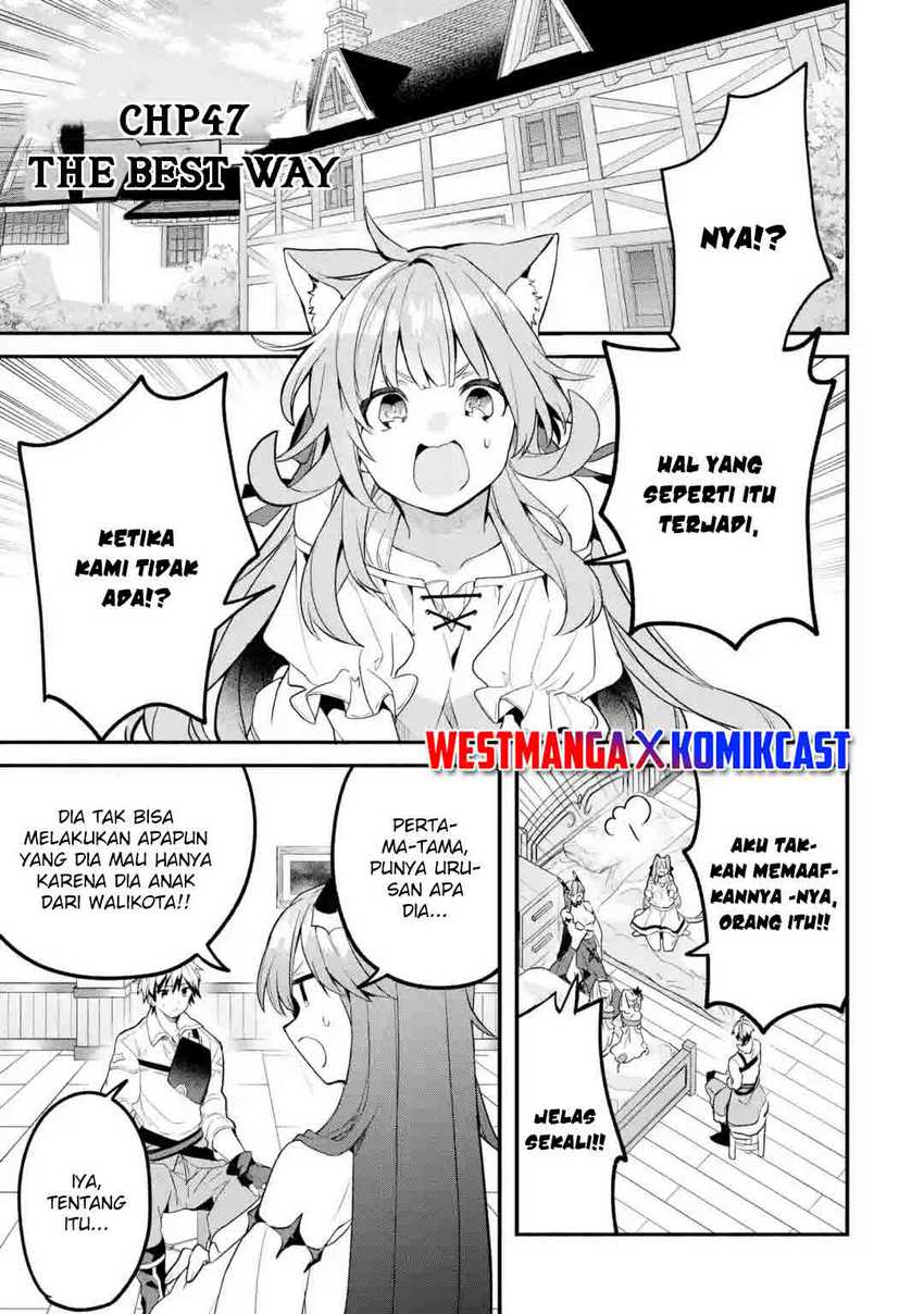 Yuusha Party wo Tsuihou Sareta Beast Tamer, Saikyou Shuzoku Nekomimi Shojo to Deau Chapter 47