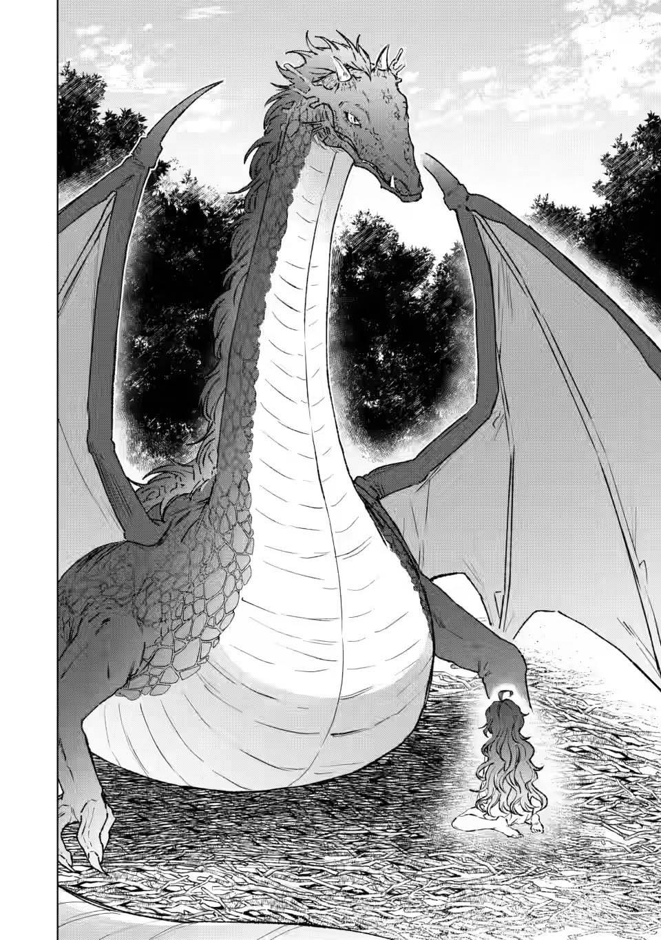 Saigai de Tamago wo Ushinatta Dragon ga Nazeka Ore wo Sodate Hajimeta Chapter 1