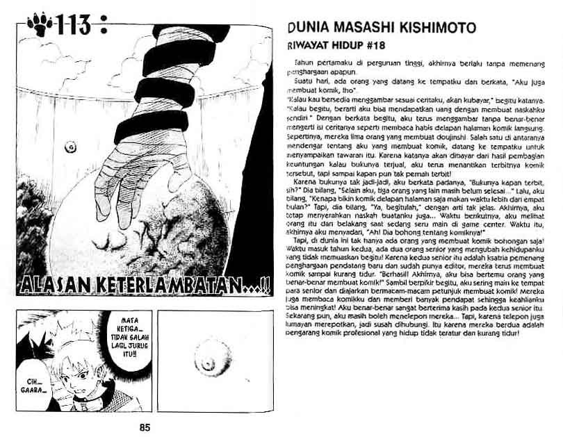 Naruto Chapter 113