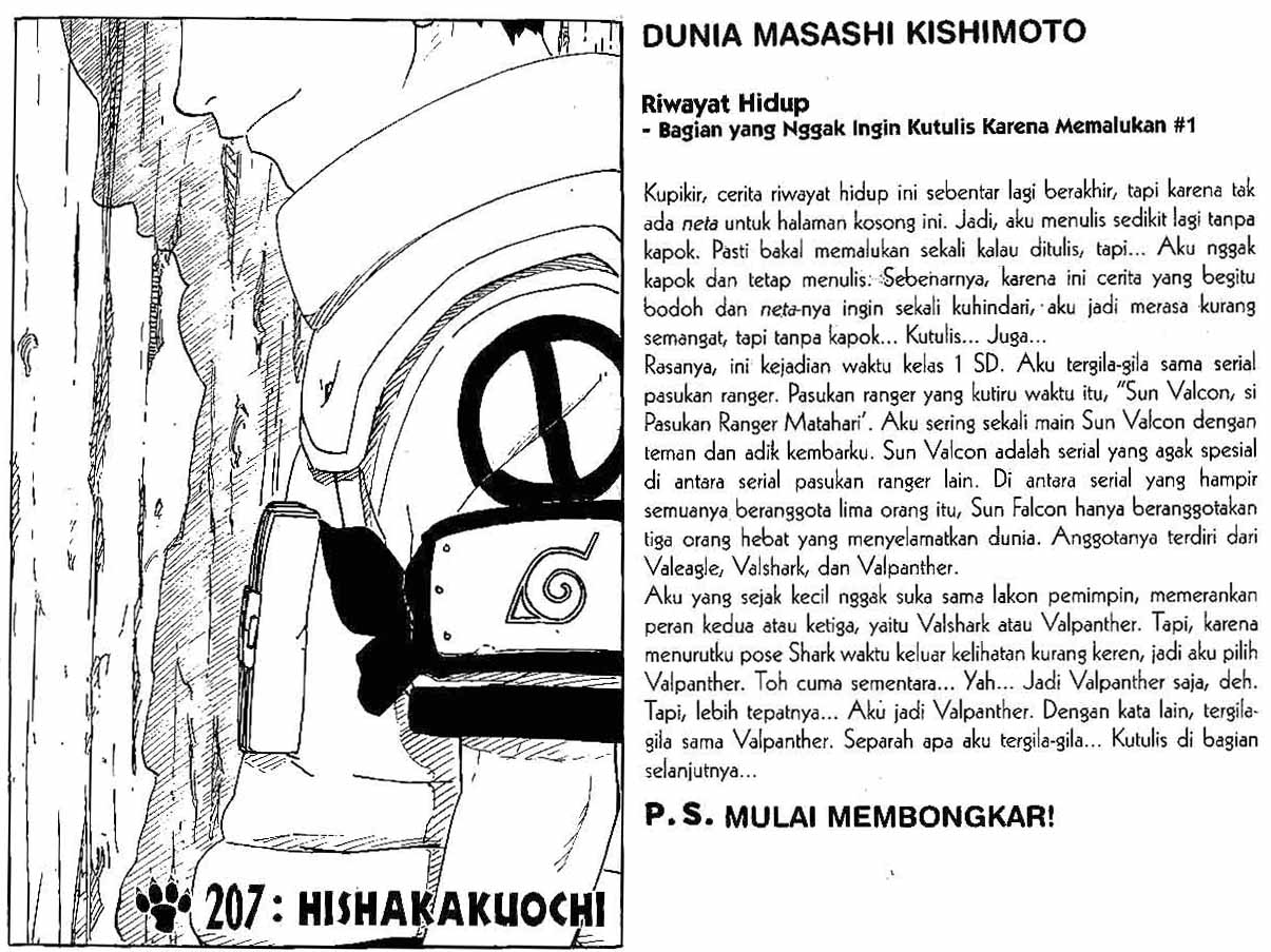 Naruto Chapter 207