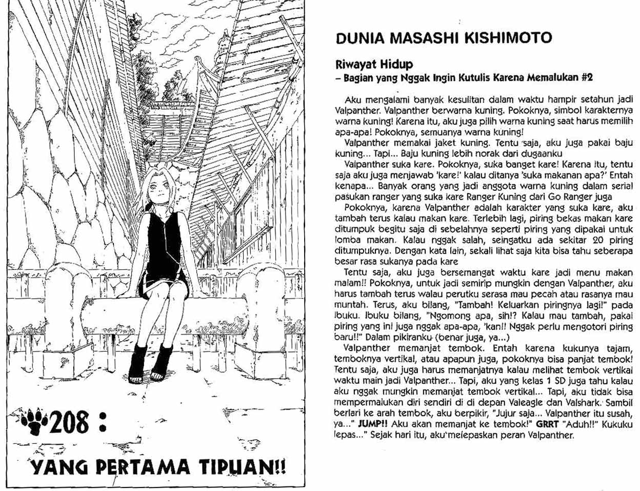 Naruto Chapter 208