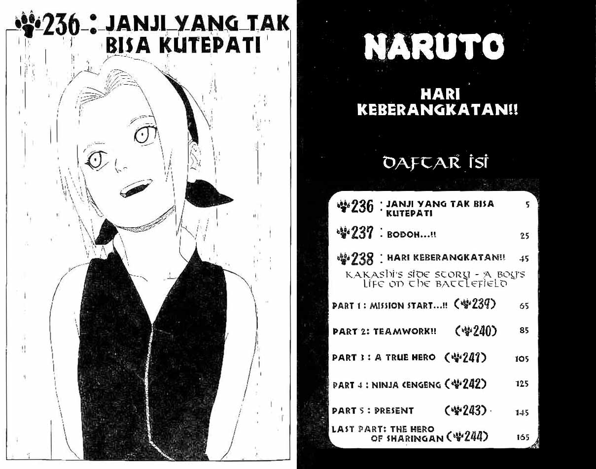 Naruto Chapter 236