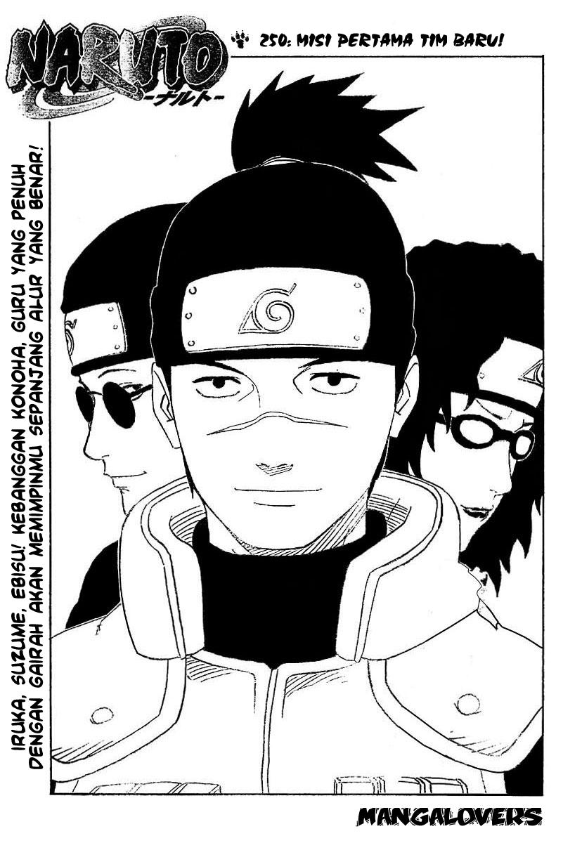 Naruto Chapter 250