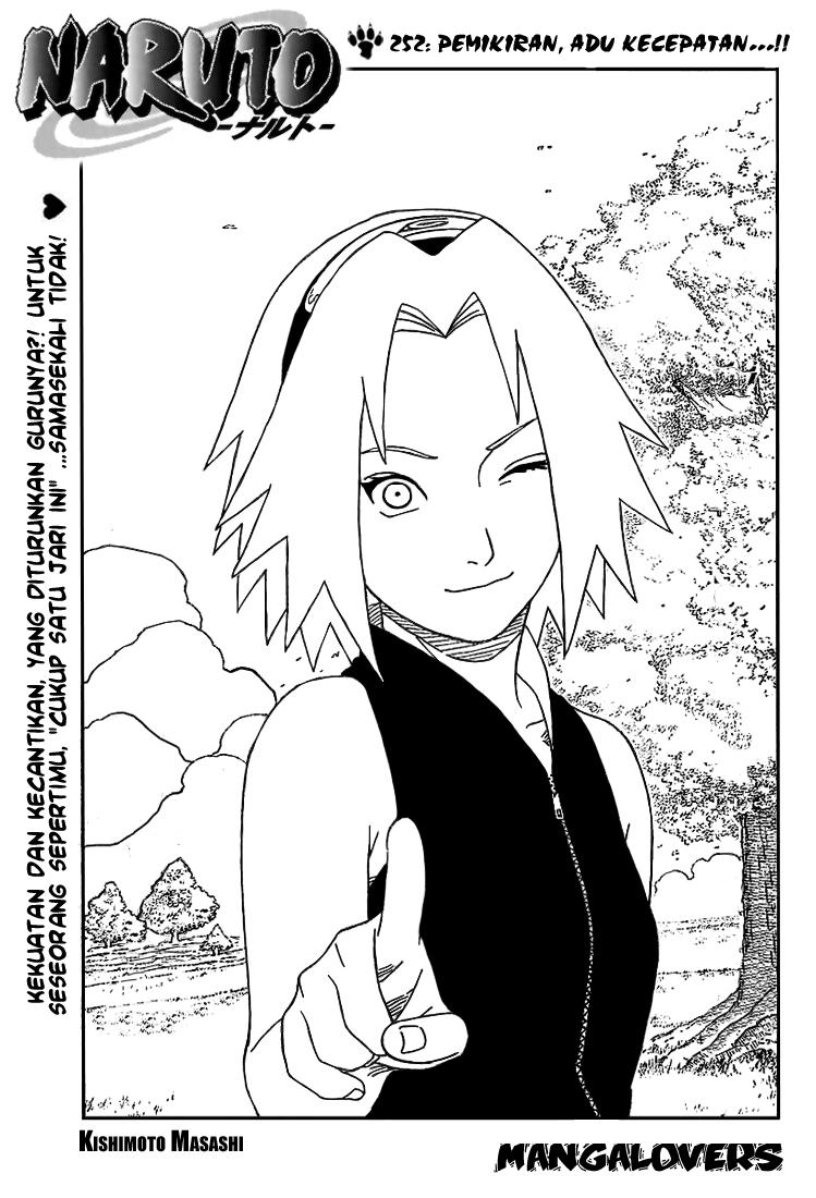 Naruto Chapter 252