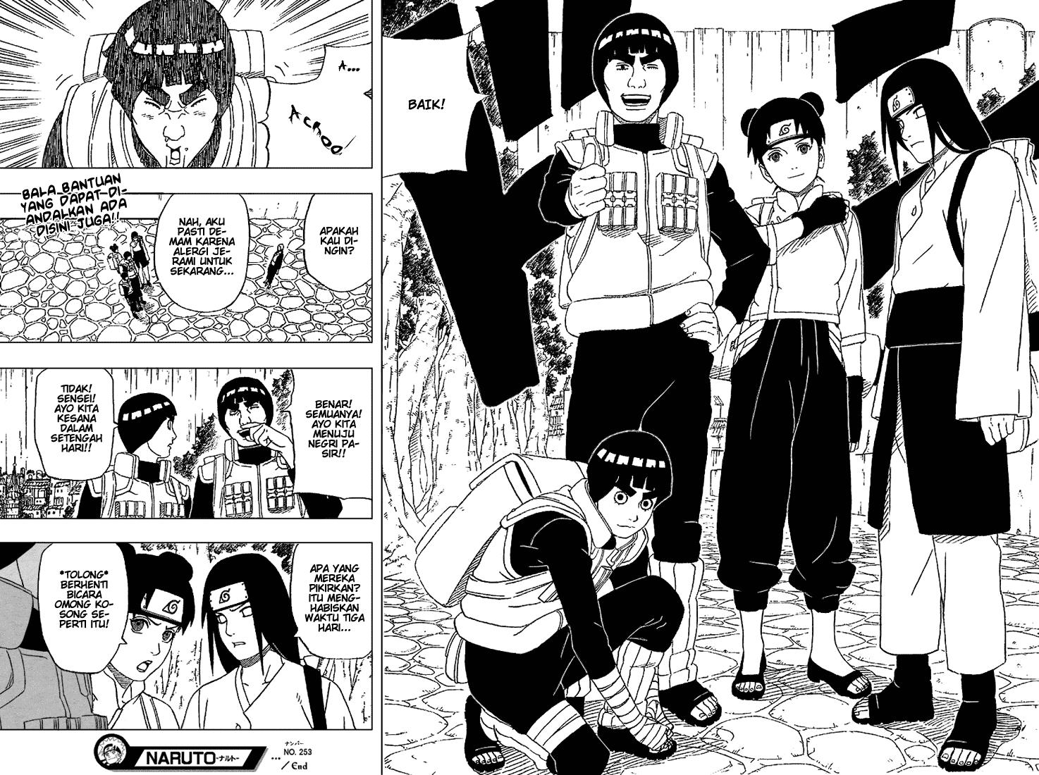 Naruto Chapter 253