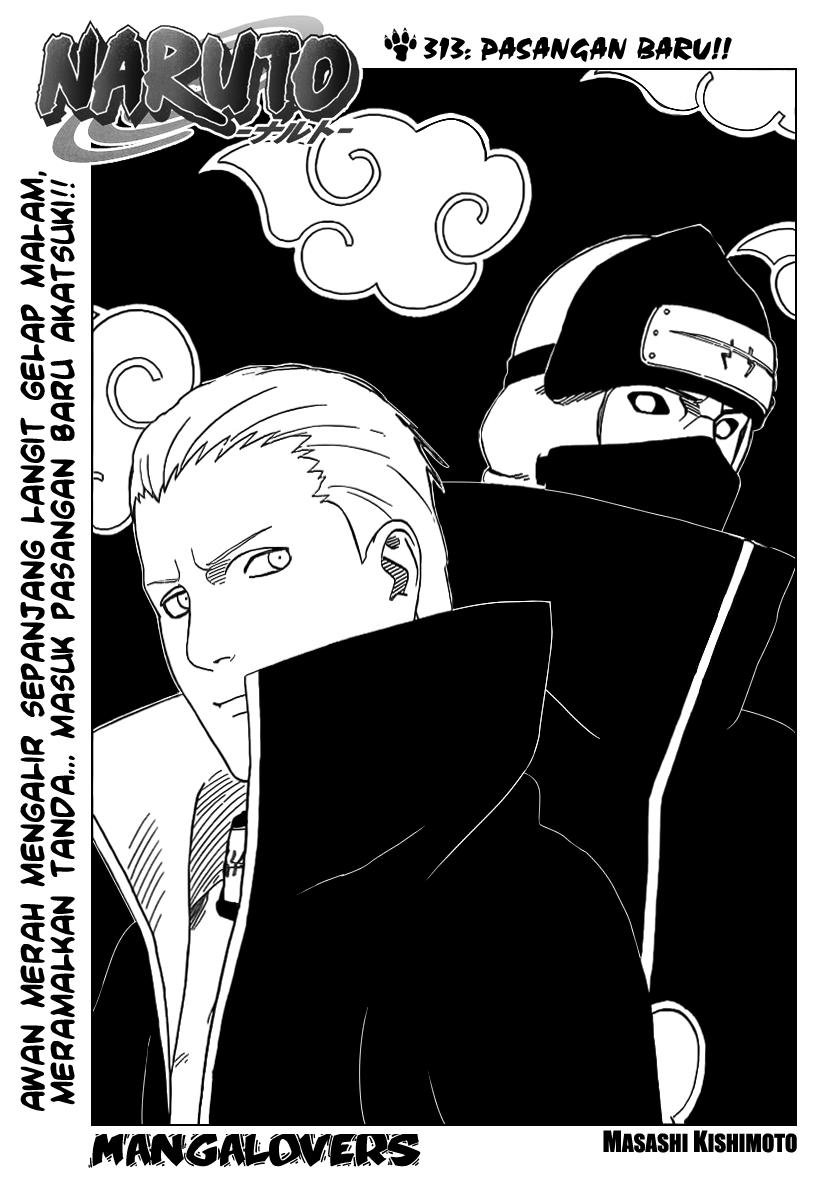 Naruto Chapter 313