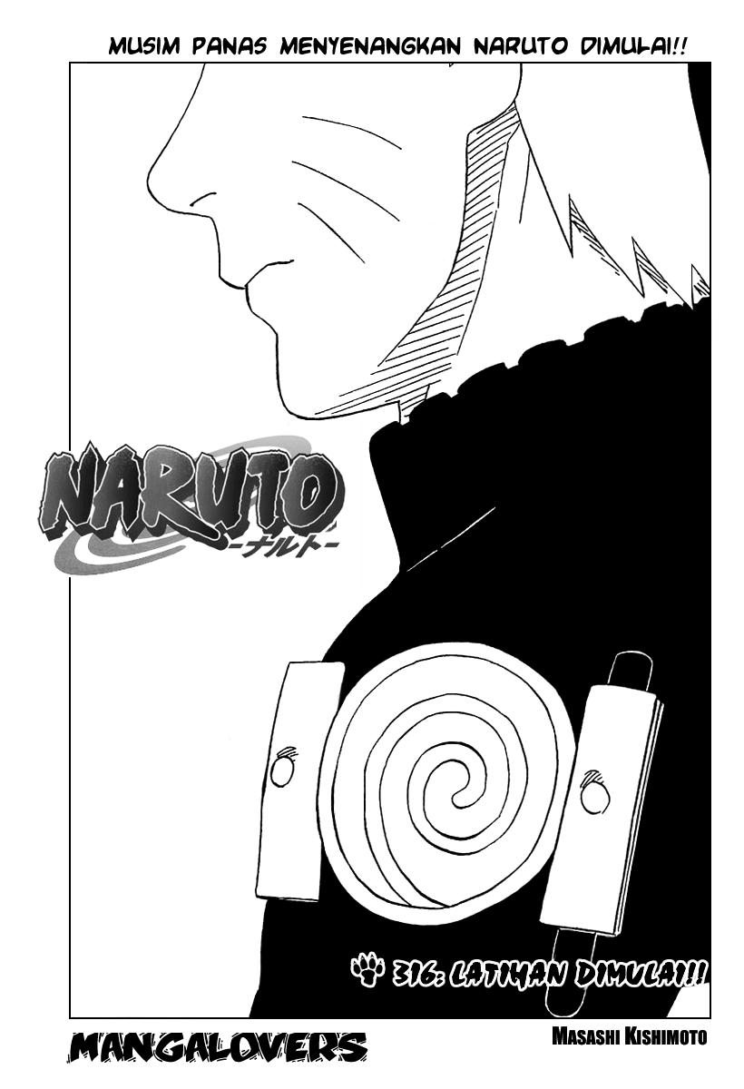 Naruto Chapter 316