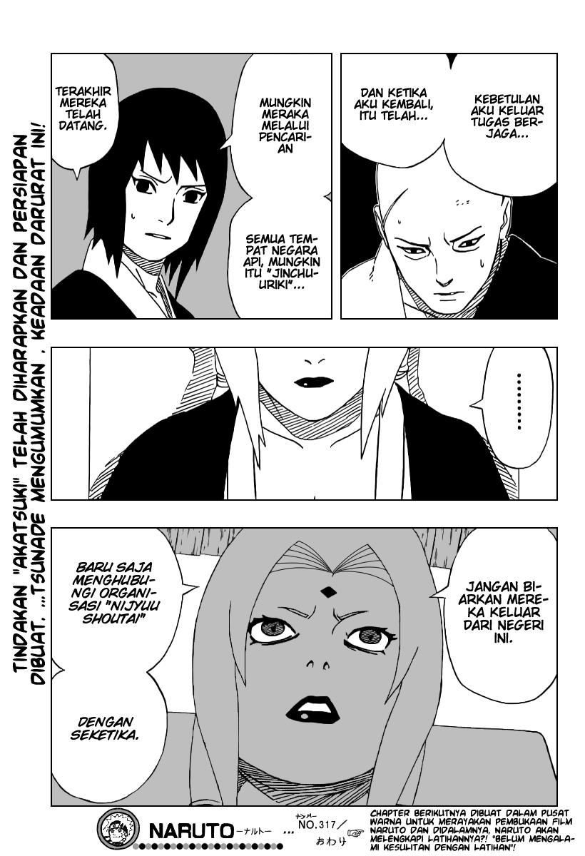 Naruto Chapter 317