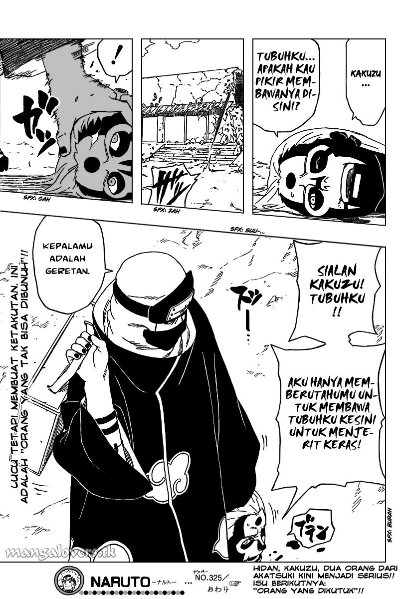 Naruto Chapter 325