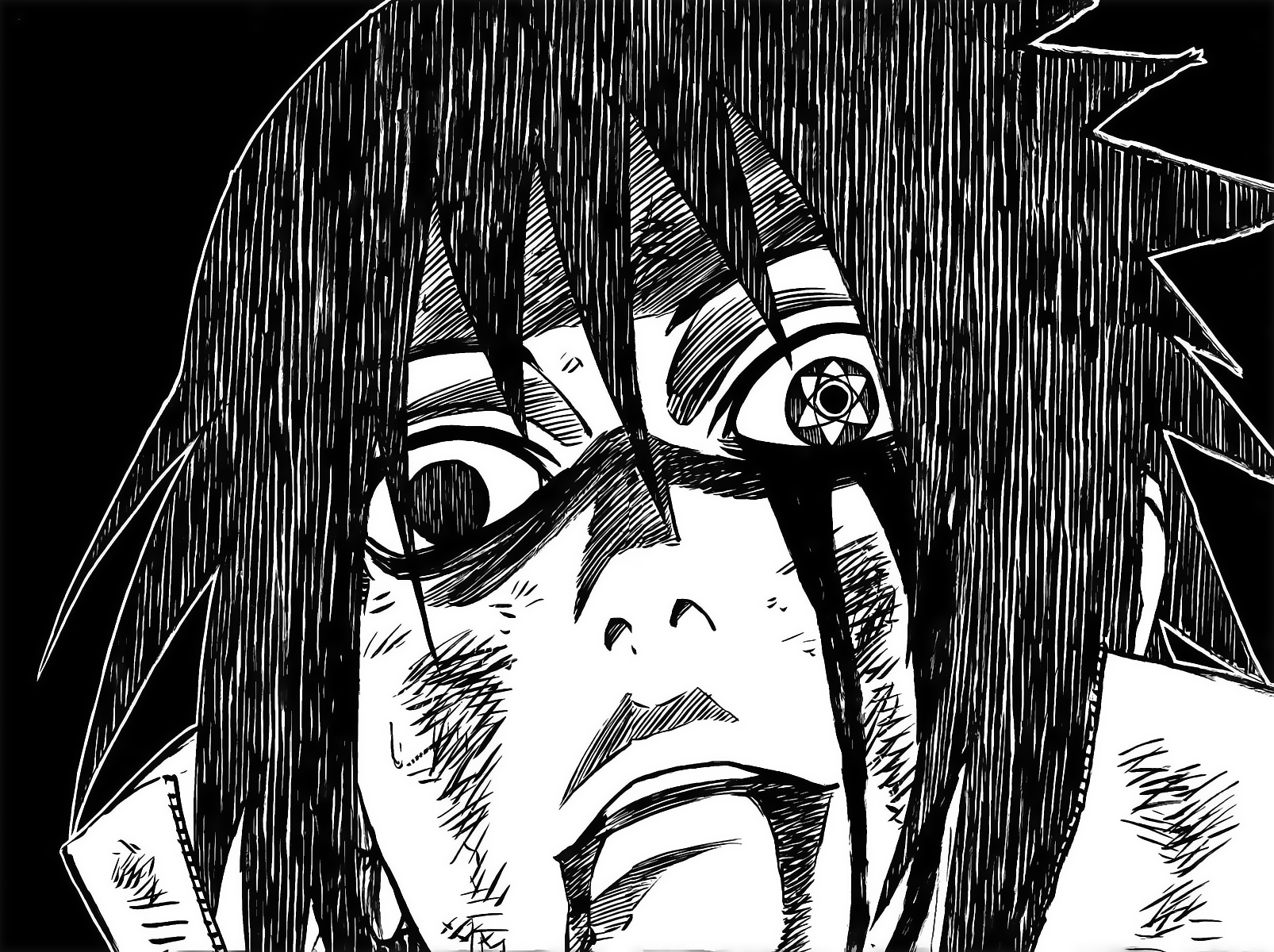 Naruto Chapter 480