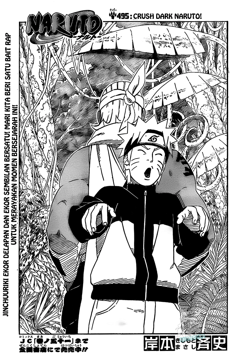 Naruto Chapter 495