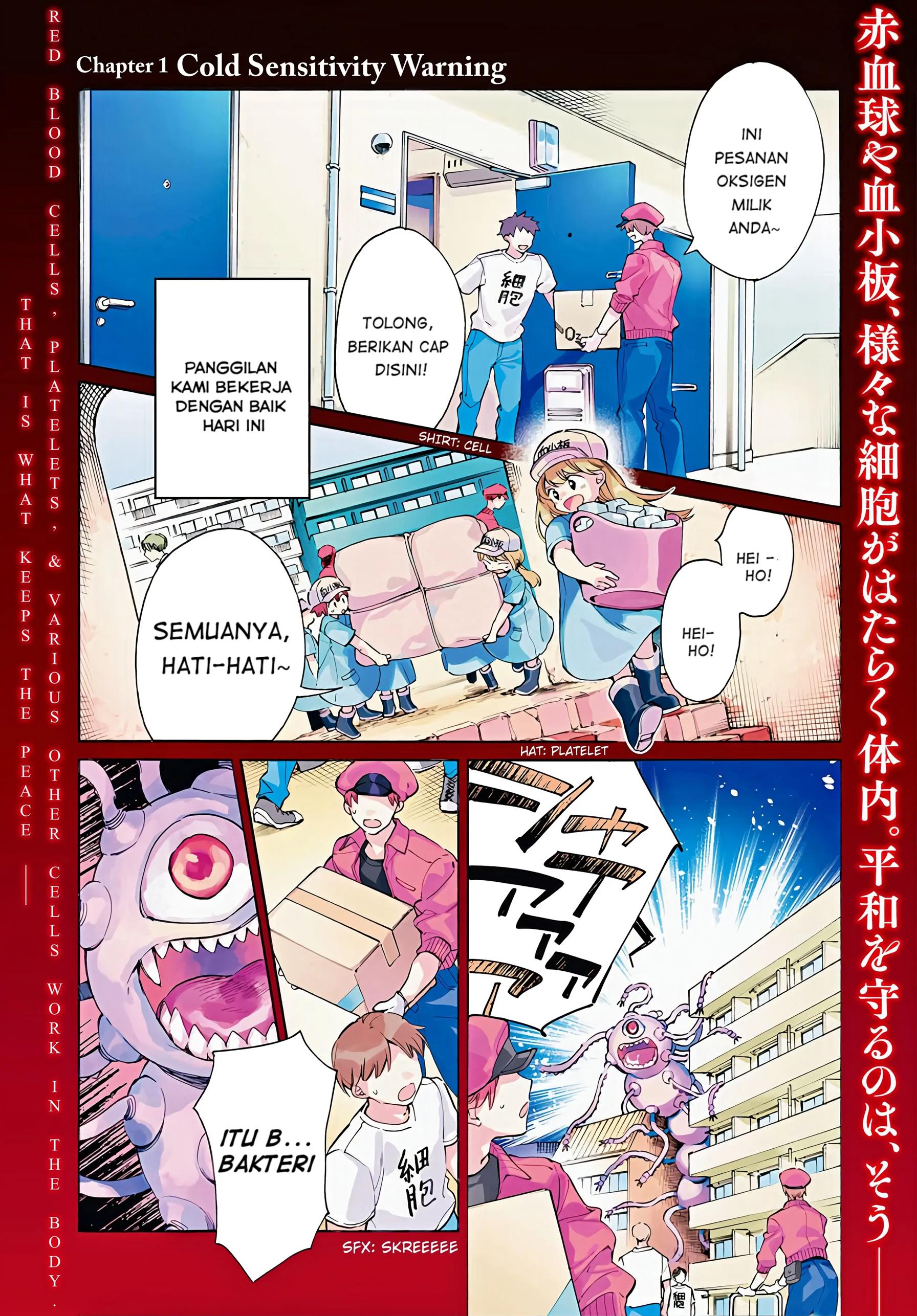 Hataraku Saibou LADY Chapter 1