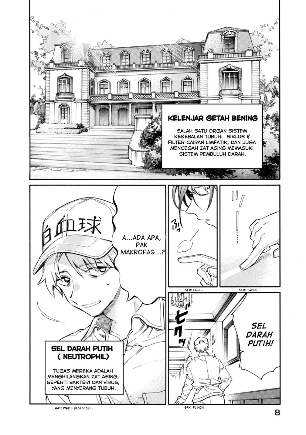 Hataraku Saibou LADY Chapter 1