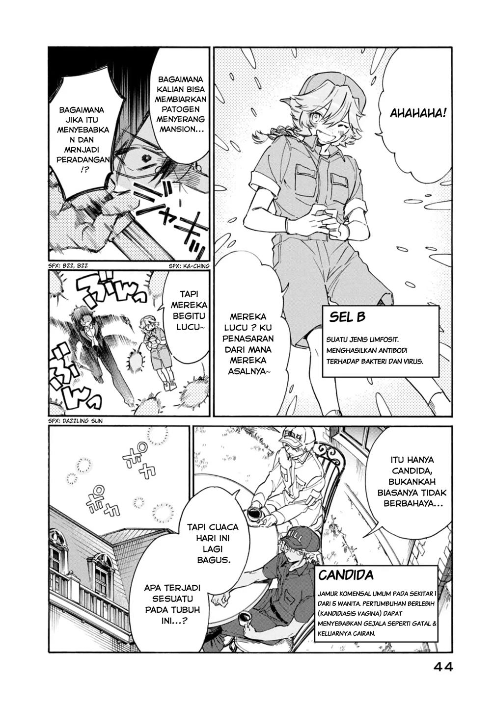 Hataraku Saibou LADY Chapter 2