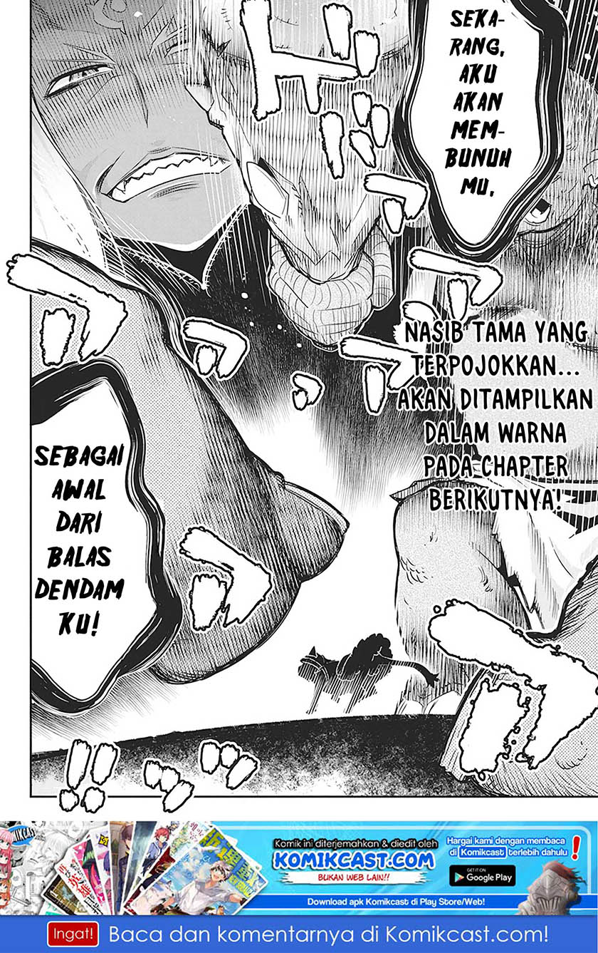 S-Rank Monster no Behemoth Dakedo, Neko to Machigawarete Erufu Musume no Kishi (Pet) Toshite Kurashitemasu Chapter 13