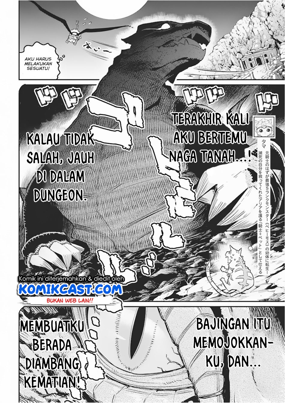 S-Rank Monster no Behemoth Dakedo, Neko to Machigawarete Erufu Musume no Kishi (Pet) Toshite Kurashitemasu Chapter 15