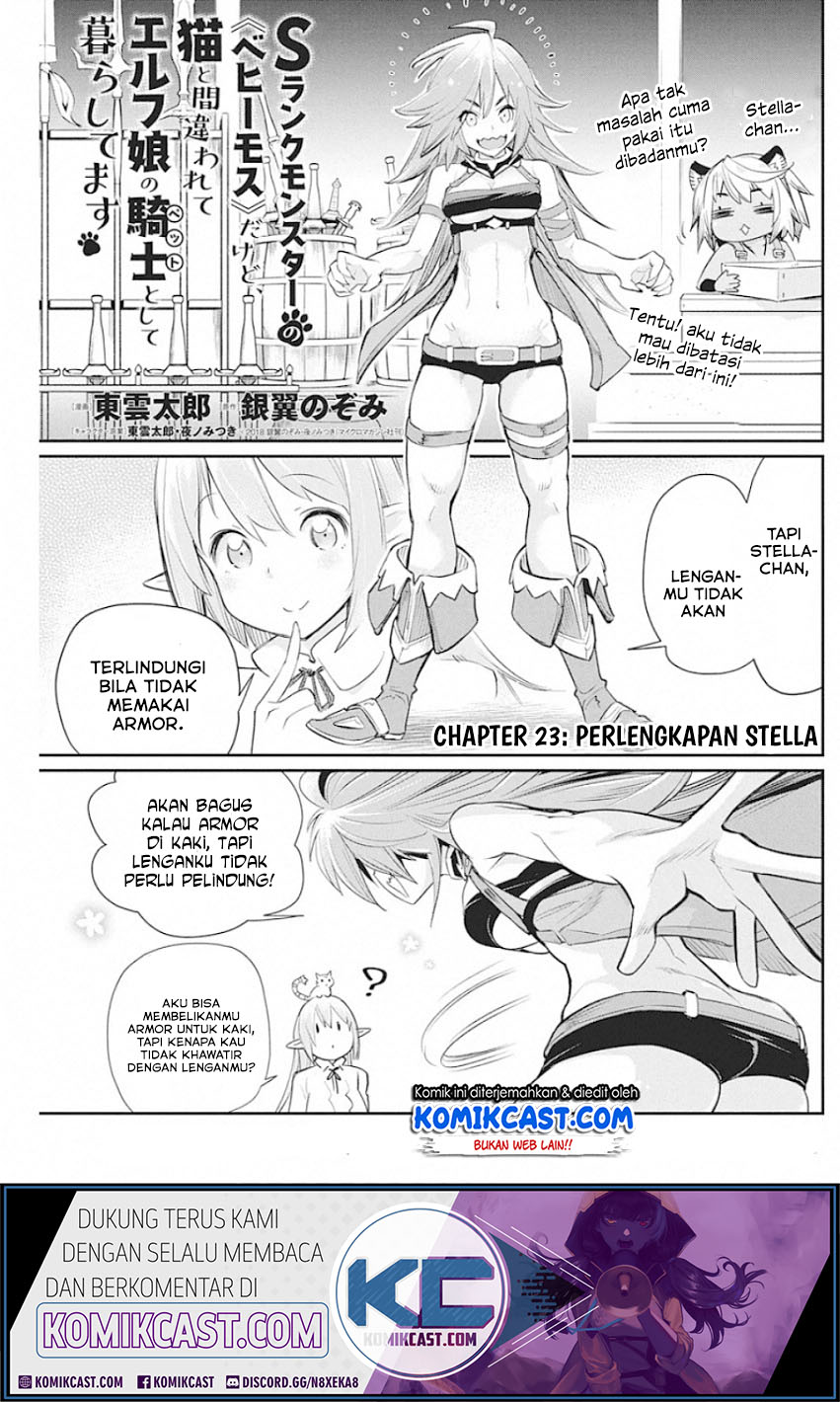 S-Rank Monster no Behemoth Dakedo, Neko to Machigawarete Erufu Musume no Kishi (Pet) Toshite Kurashitemasu Chapter 23