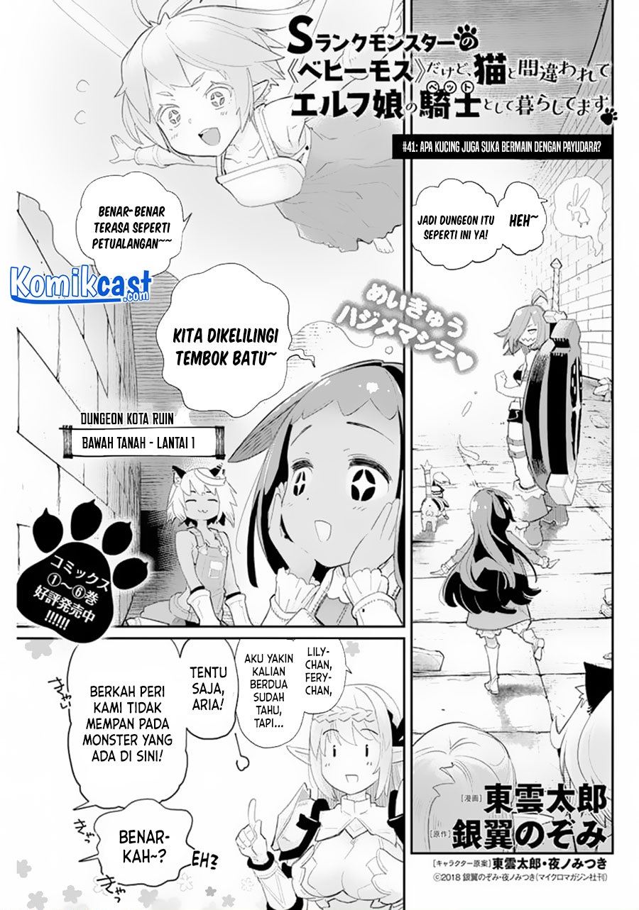 S-Rank Monster no Behemoth Dakedo, Neko to Machigawarete Erufu Musume no Kishi (Pet) Toshite Kurashitemasu Chapter 41