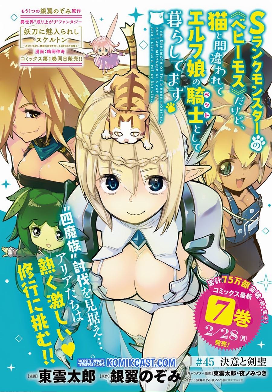 S-Rank Monster no Behemoth Dakedo, Neko to Machigawarete Erufu Musume no Kishi (Pet) Toshite Kurashitemasu Chapter 45