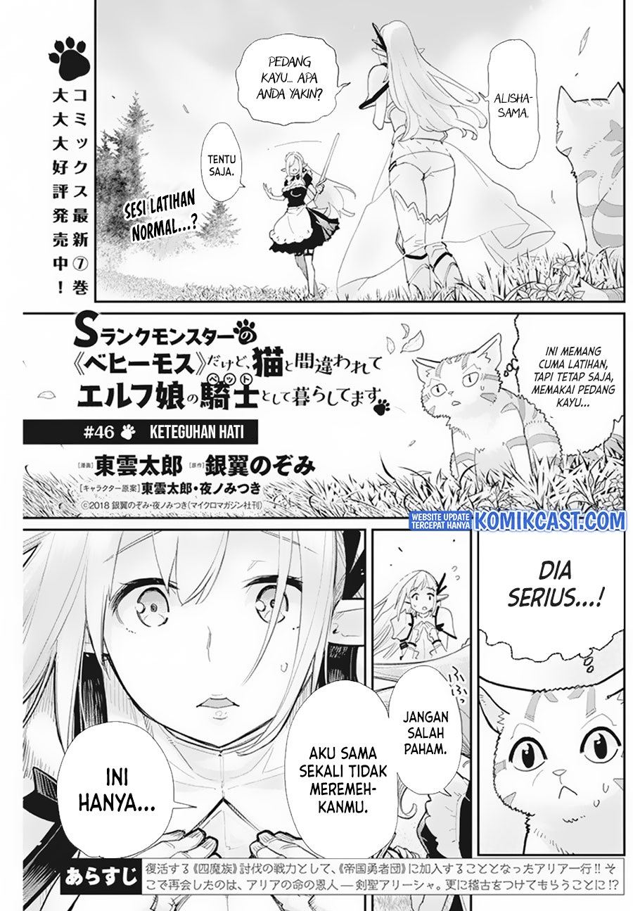 S-Rank Monster no Behemoth Dakedo, Neko to Machigawarete Erufu Musume no Kishi (Pet) Toshite Kurashitemasu Chapter 46