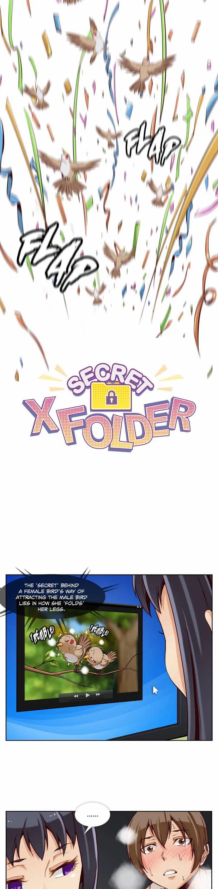 Secret X Folder