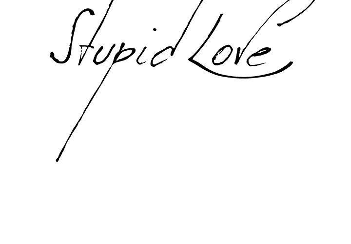 Stupid Love