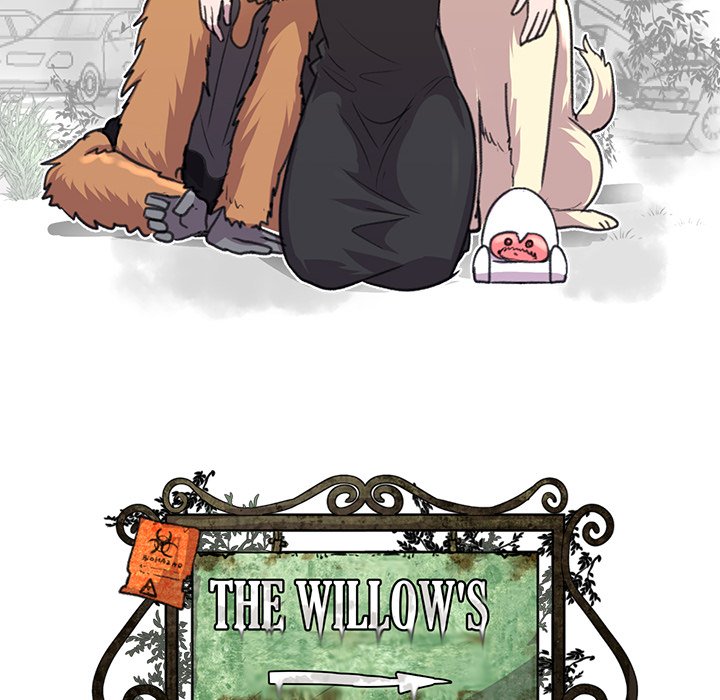 The Willows