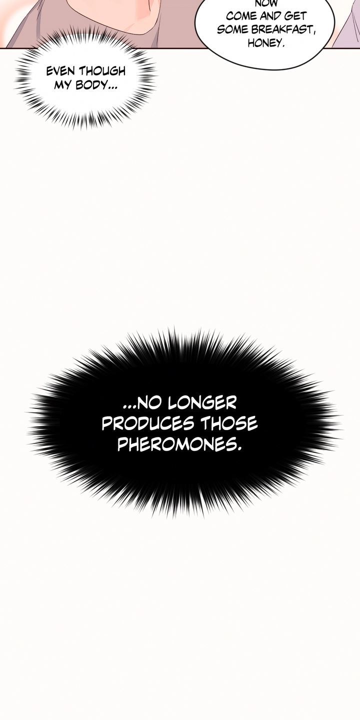 Pheromone-holic