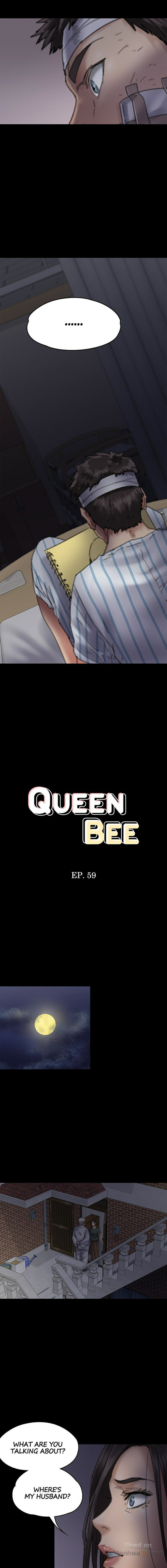 Queen Bee (Acera)