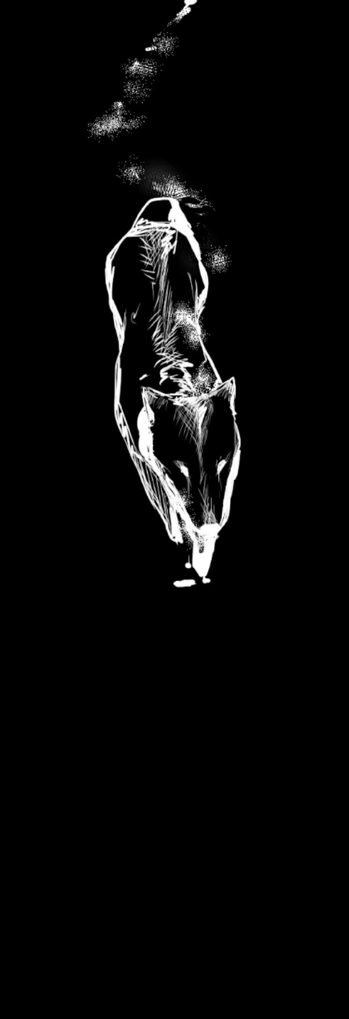 A wonderful new world