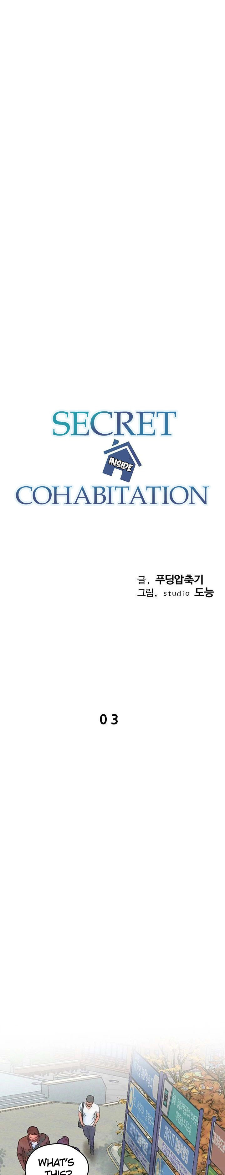 Secret Cohabitation Engsub