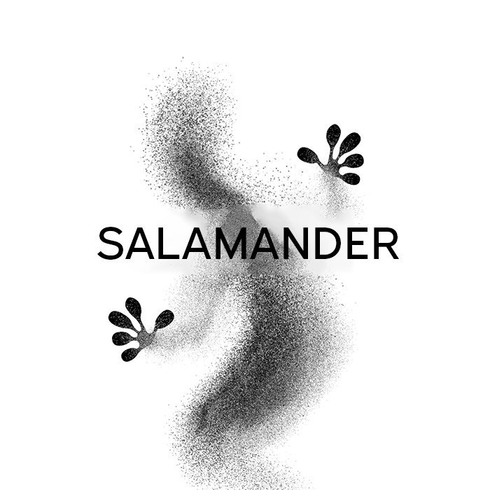 Salamander