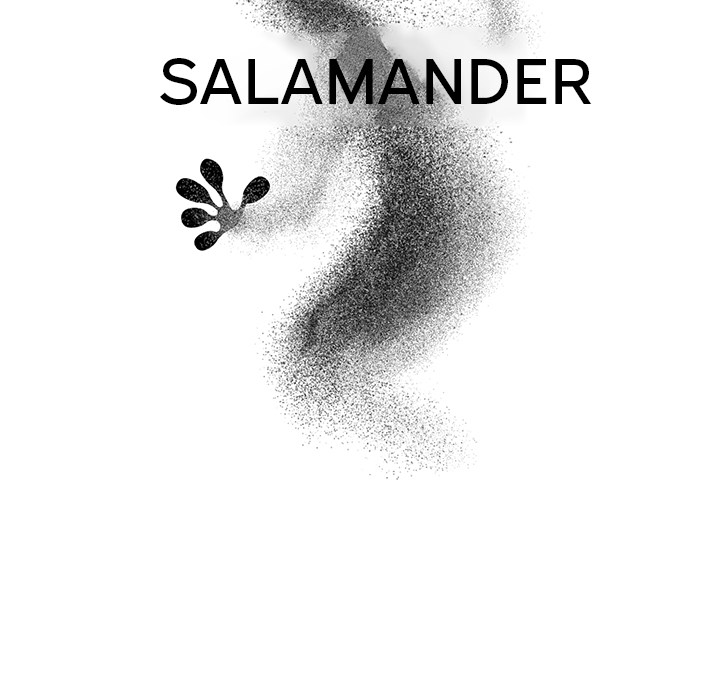 Salamander