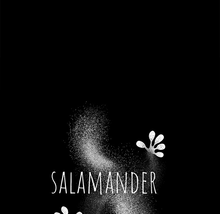 Salamander