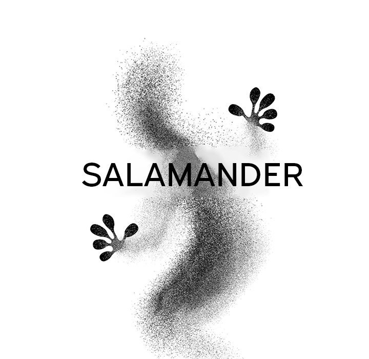 Salamander