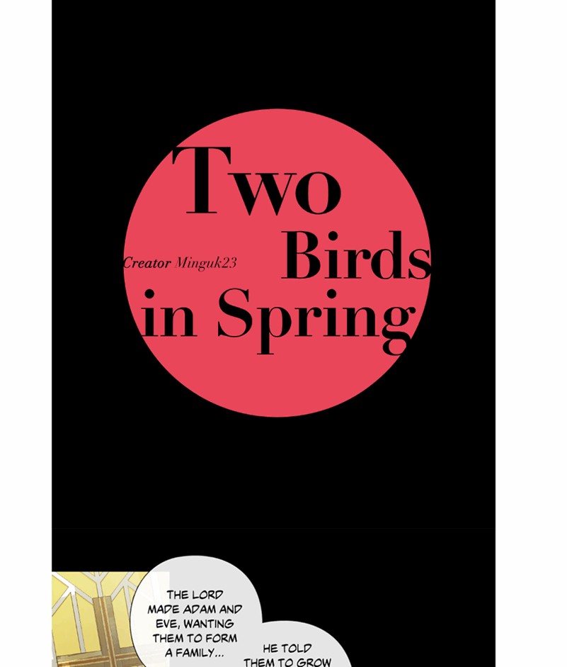 Two Birds in Spring