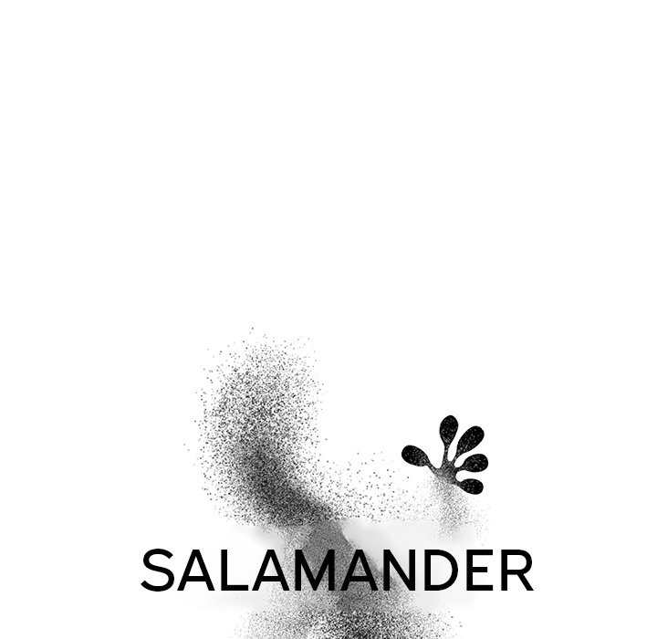 Salamander