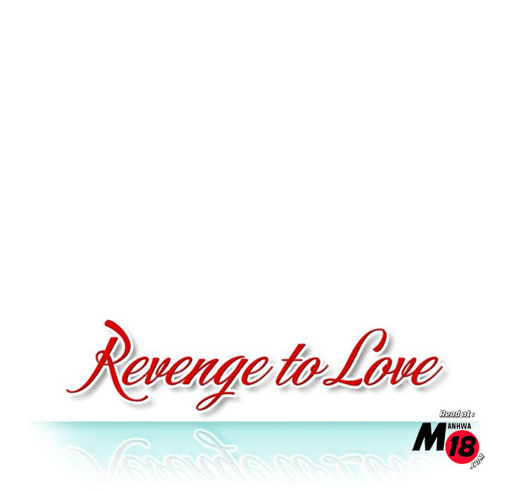 Revenge to Love