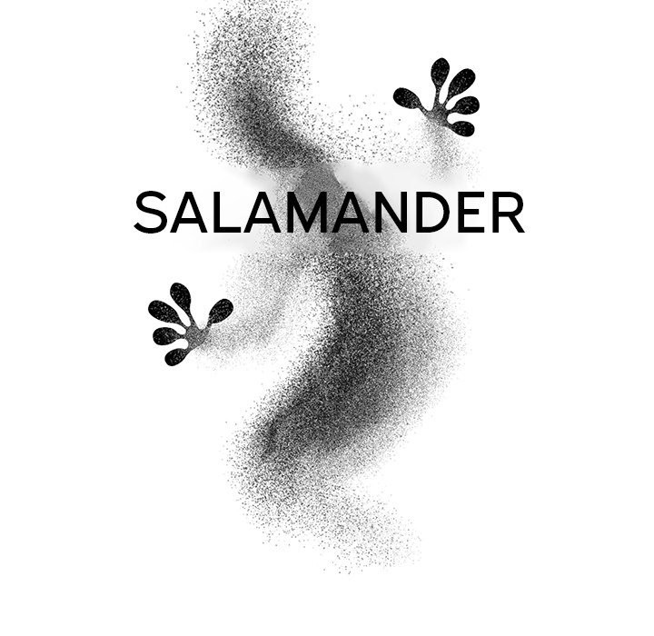 Salamander