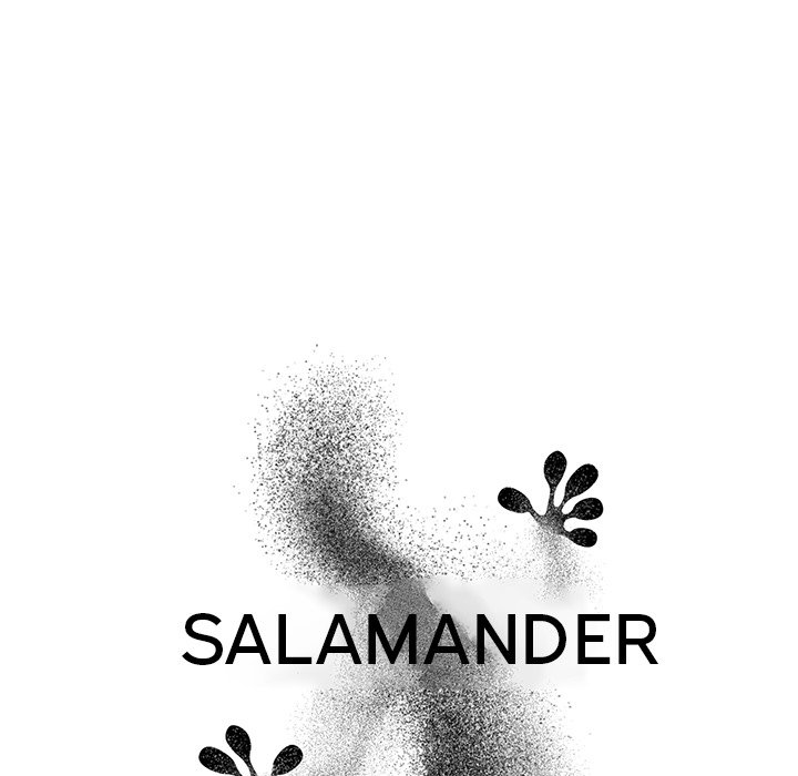 Salamander