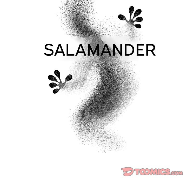 Salamander